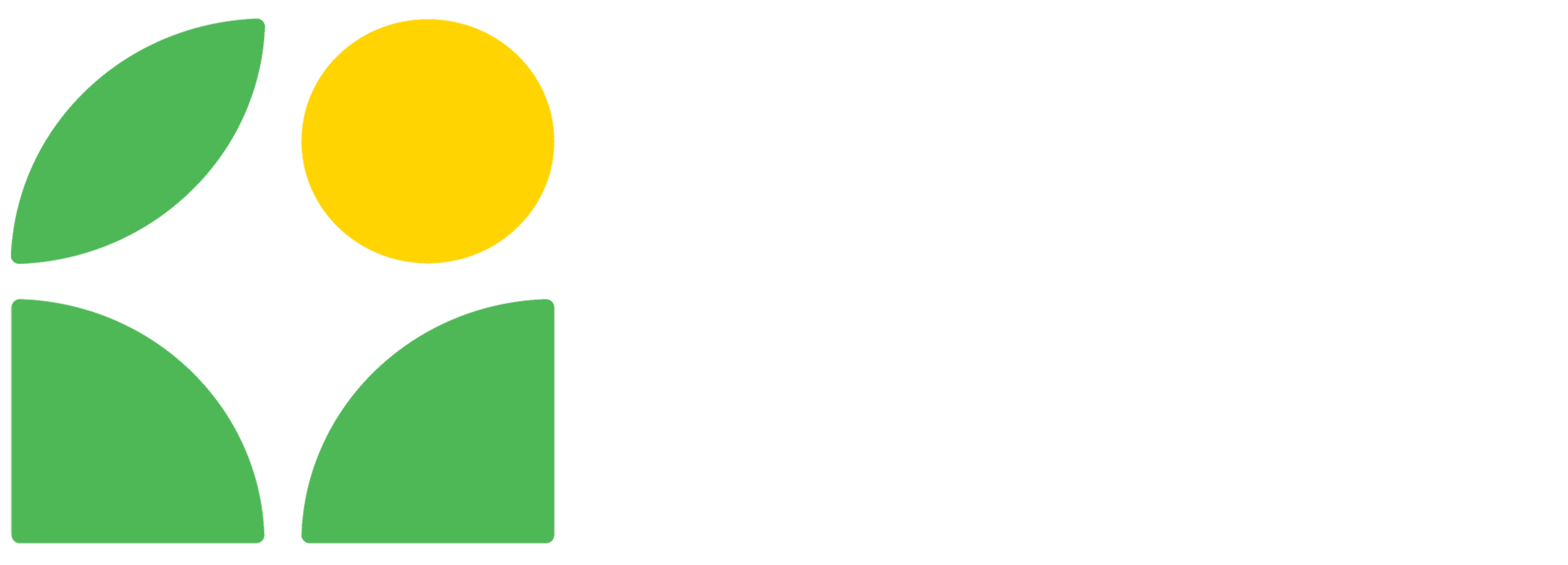 Logo NATURE Preschool – Trường Mầm Non Song Ngữ Thiên Nhiên Long Xuyên