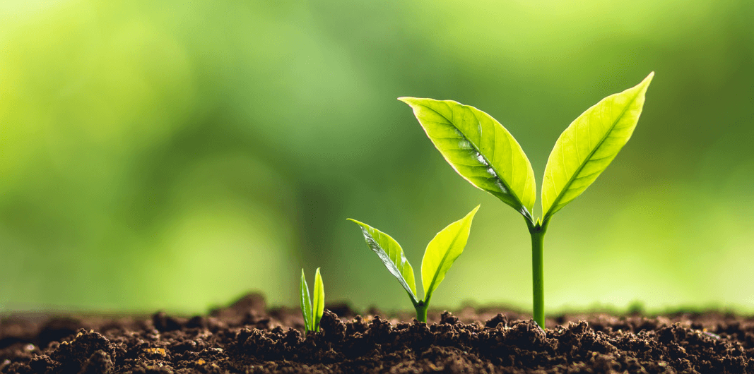 Ngôi Vườn Thiên Nhiên – Cơ sở vật chất hiện đại tại NATURE Preschool Long Xuyên